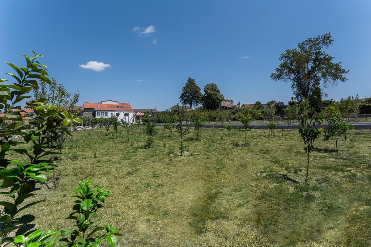 Sevenfarm Villa Mangualde Dış mekan fotoğraf