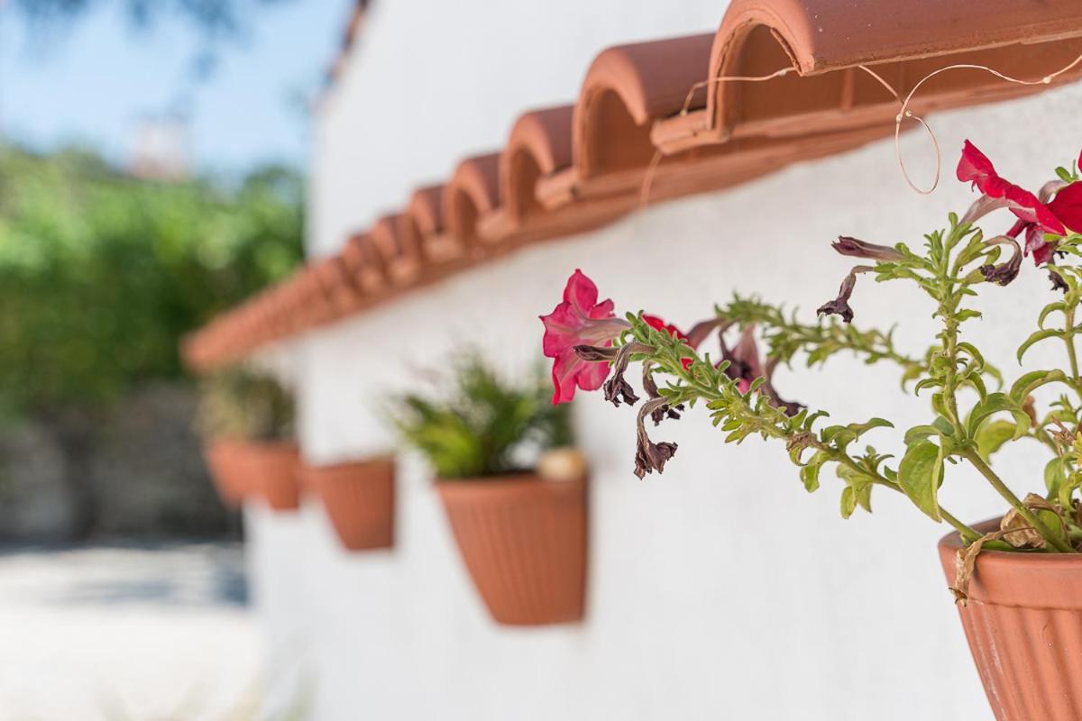 Sevenfarm Villa Mangualde Dış mekan fotoğraf