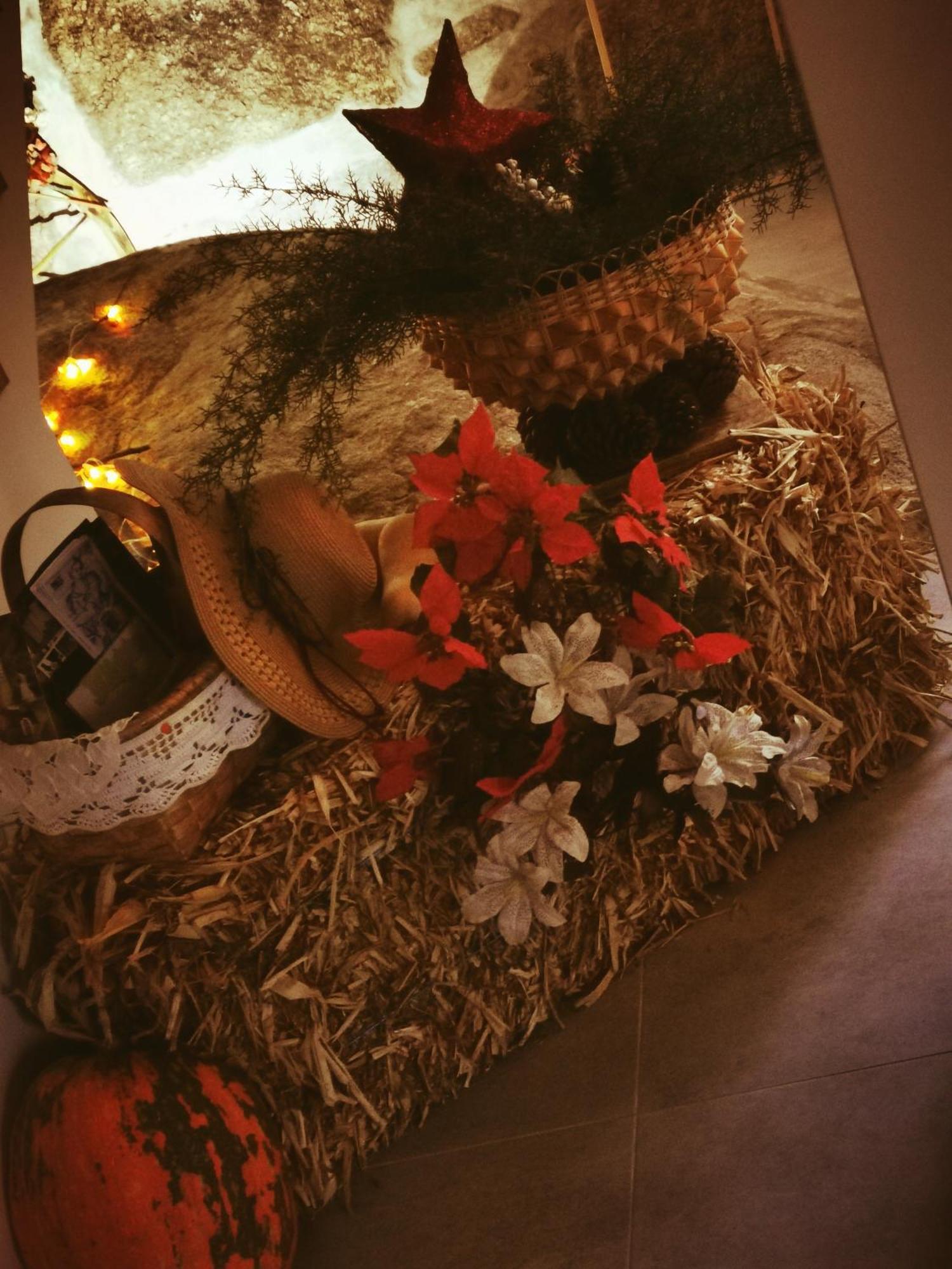 Sevenfarm Villa Mangualde Dış mekan fotoğraf